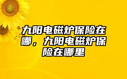 九陽電磁爐保險在哪，九陽電磁爐保險在哪里