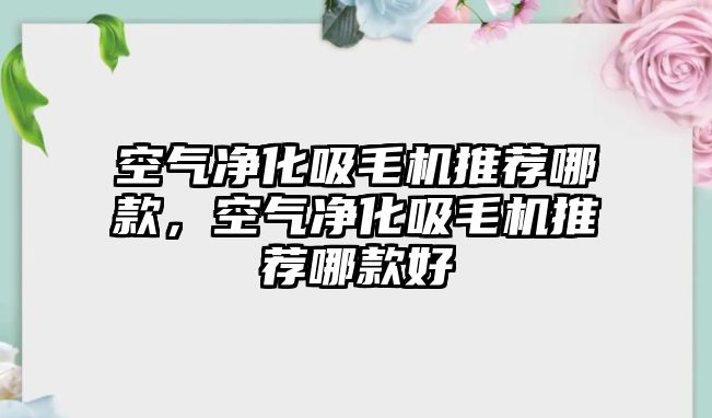 空氣凈化吸毛機推薦哪款，空氣凈化吸毛機推薦哪款好