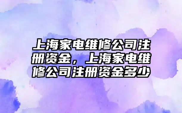 上海家電維修公司注冊(cè)資金，上海家電維修公司注冊(cè)資金多少