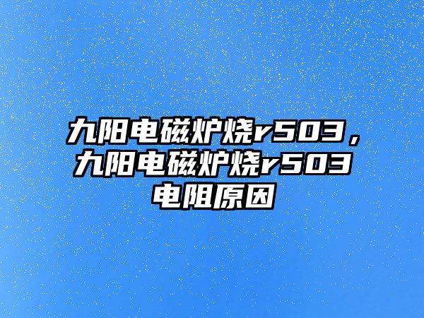 九陽電磁爐燒r503，九陽電磁爐燒r503電阻原因